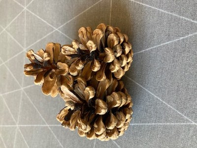 Mois 10 Petit chevalet 1-3