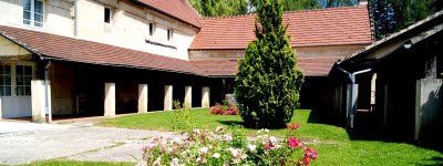 Retreat for the Young people from Faith and Light Ireland