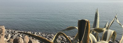 Letter from Don Marco Bove