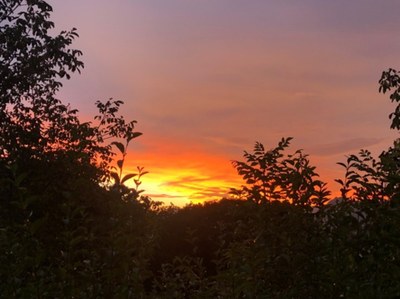 Easter message from Don Marco Bove