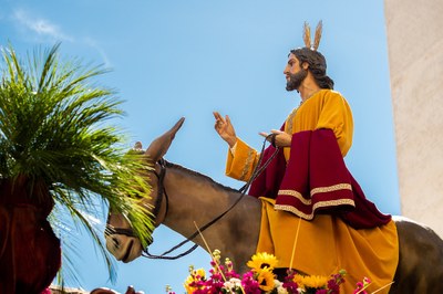 Fin de semana de las Palmas - Provincia de Kimata