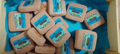 Formación para los vicecoordinadores de Italia