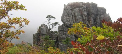 Retiro para las 4 comunidades de Corea del Sur