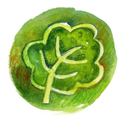 Mois 4 Vignette Feuille