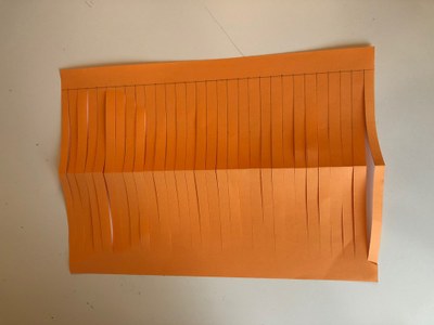 Mois 8 - fleurs en papier 2-6