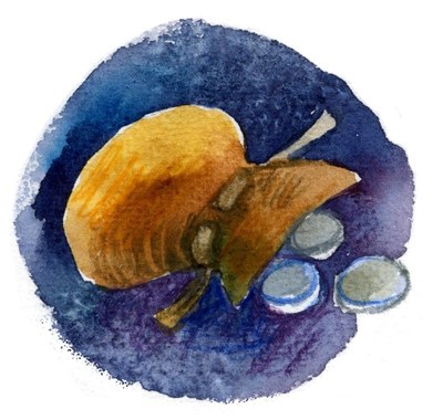 Mois 12 Vignette Bourse